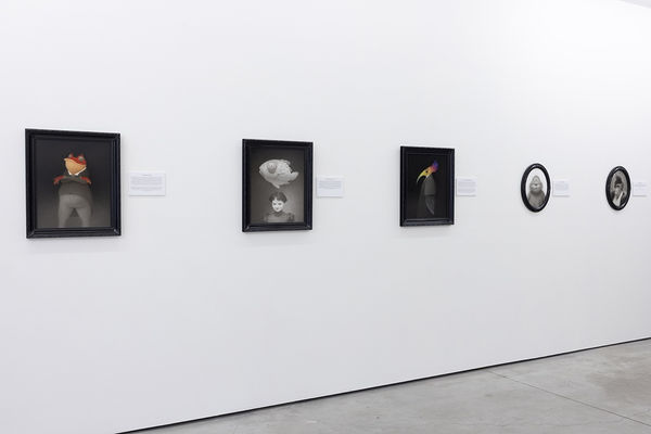 installation photo of travis louie exhibition