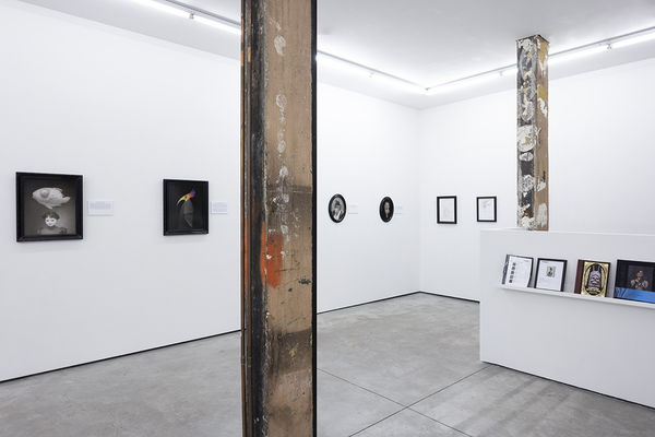 installation photo of travis louie exhibition