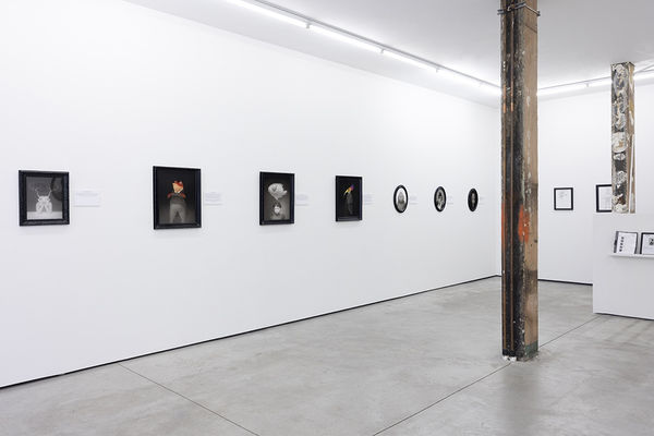 installation photo of travis louie exhibition