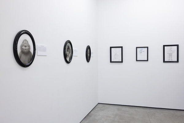 installation photo of travis louie exhibition