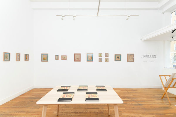 Installation shot of Felicia Chiao exhibition