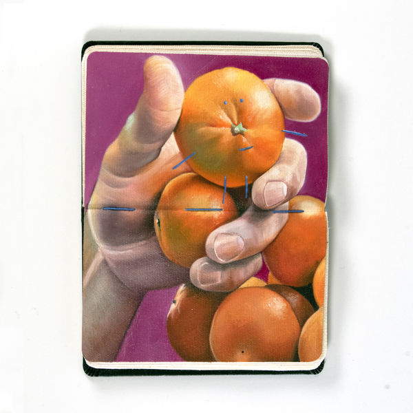 hand holding clementines over a pink background inside a moleskin notebook