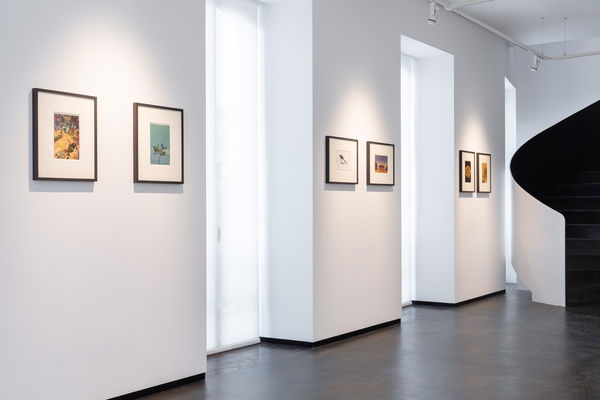 2023 09 06 In The Pink Albarran Cabrera Loule Dd 10 Large