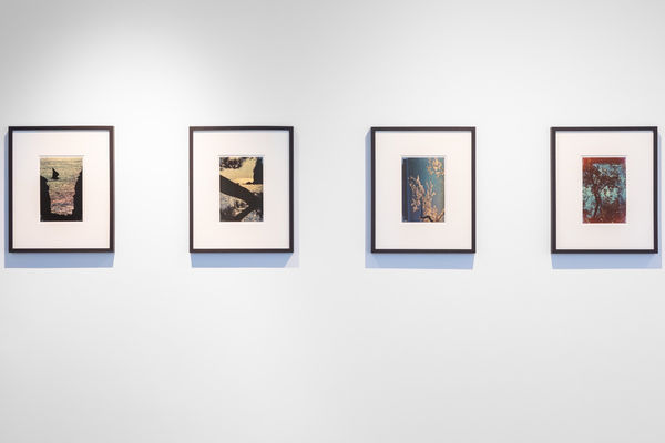 2023 09 06 In The Pink Albarran Cabrera Loule Dd 33 Large