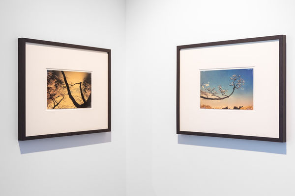 2023 09 06 In The Pink Albarran Cabrera Loule Dd 36 Large