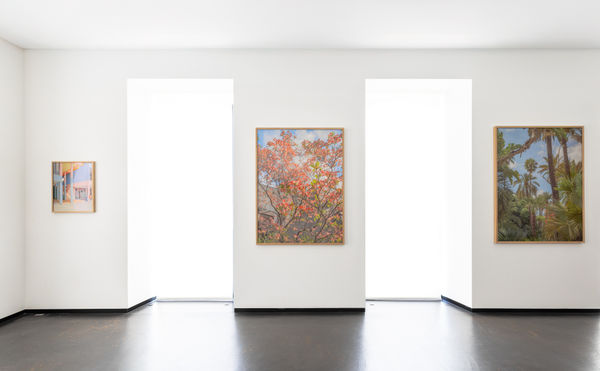 2025 04 07 In The Pink Colourama Installation Shots Website Dd 13