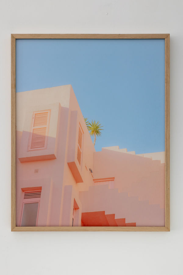 2025 04 07 In The Pink Colourama Installation Shots Website Dd 24