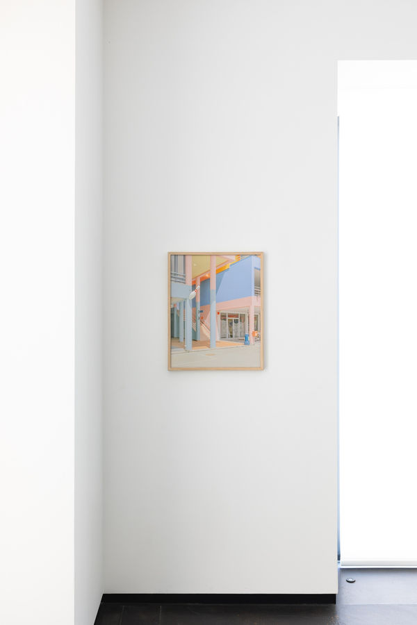 2025 04 07 In The Pink Colourama Installation Shots Website Dd 30