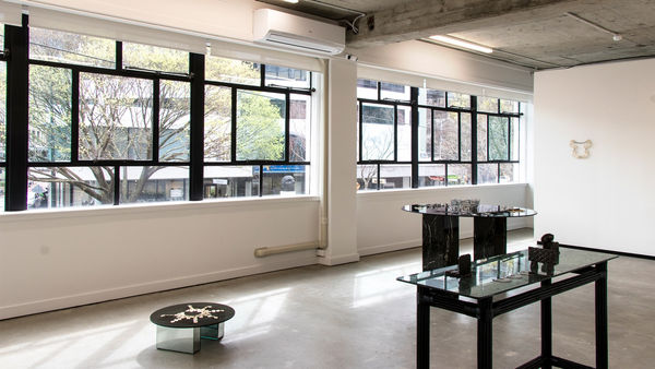 Jhana Millers Art Gallery Wellington, Moniek Schrijer