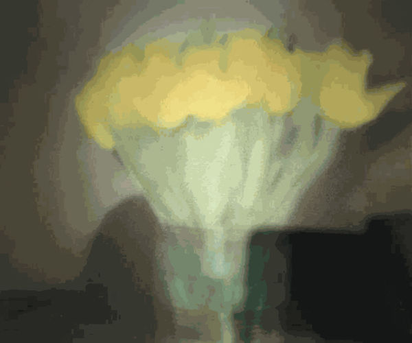 Gerhard Richter, Tulips P17, 2017