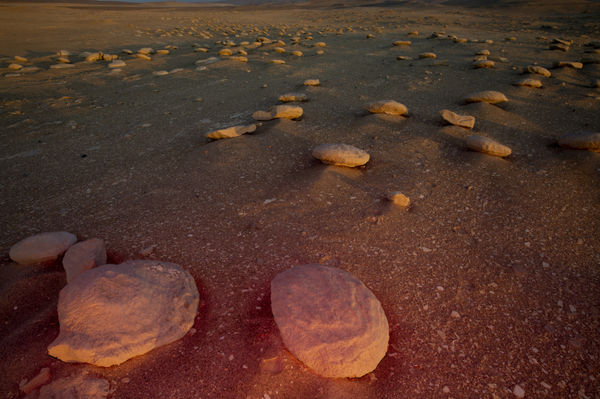 Gihan Tubbeh, ¿Y si las piedras son estrellas caídas del cielo? (What if stones are fallen stars from the sky?), 2022
