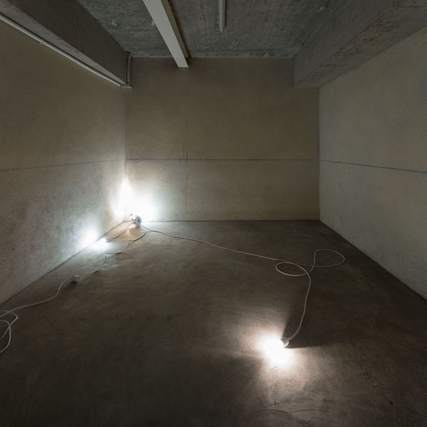 Galeria Francisco Fino - Follow You