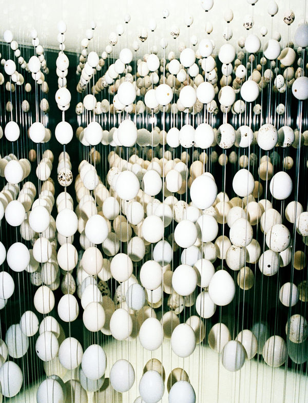 Galeria Francisco Fino - Zeeman, Daniela Ângelo