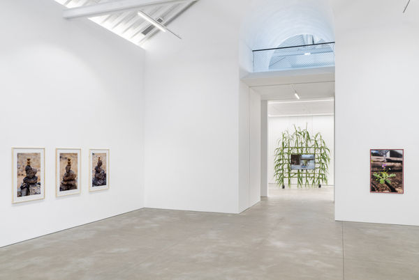 Adrien Missika - La Pensée Sauvage | Galeria Francisco Fino