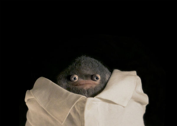 Lars Arrhenius | The Exquisite Corpse Orchestra