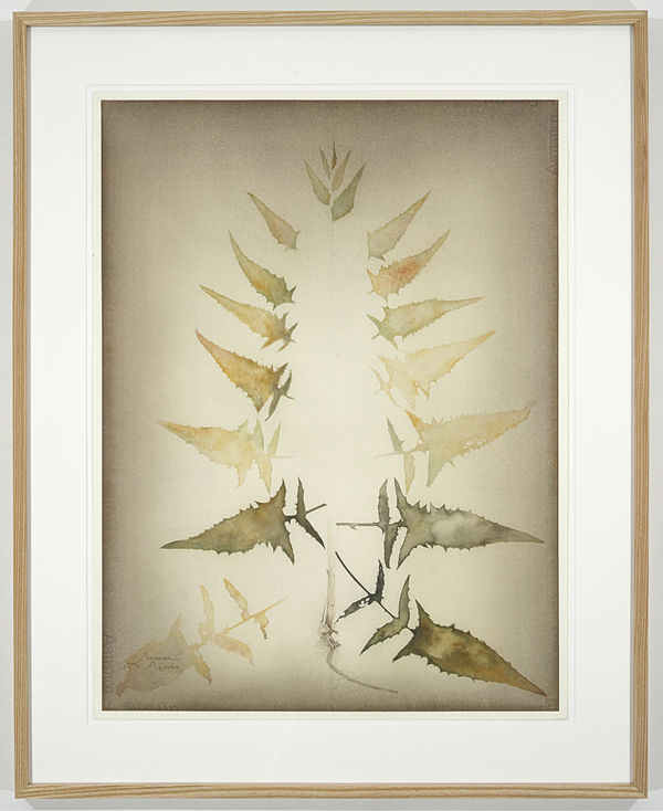 Roger Andersson | The Last Day