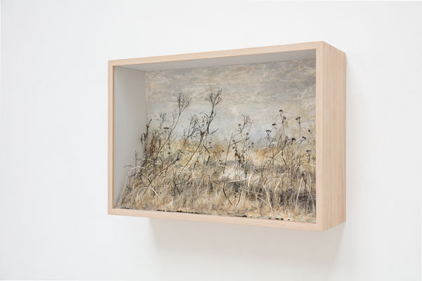 Johanna Karlsson at Galleri Hammarén