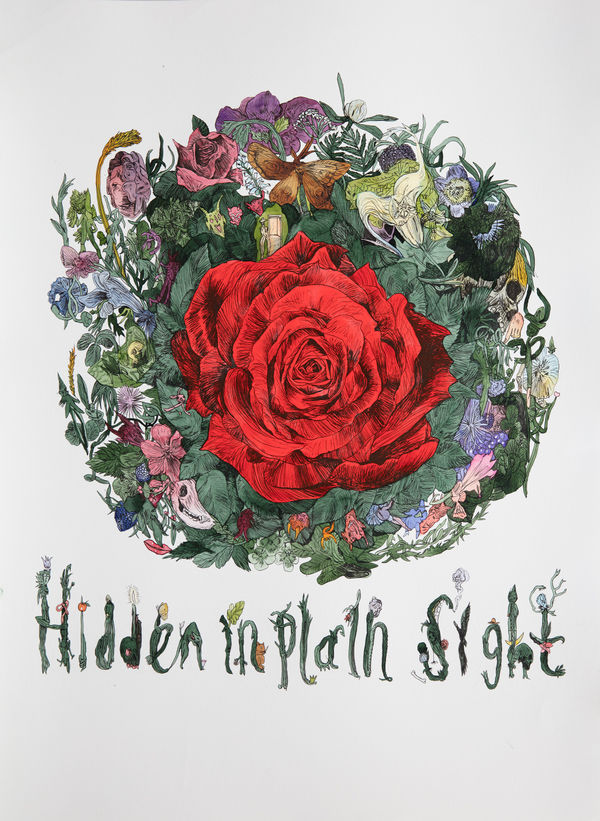 Peter Köhler at Teckningsmuseet