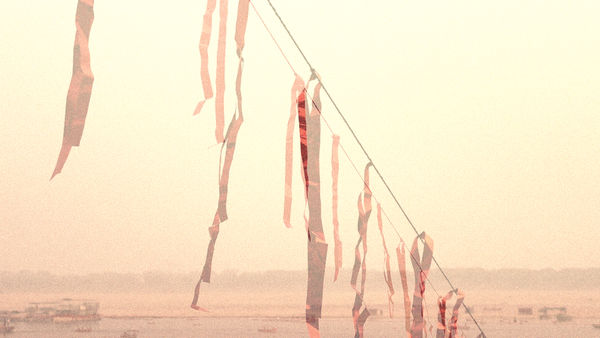 Petra Lindholm at Forum Box