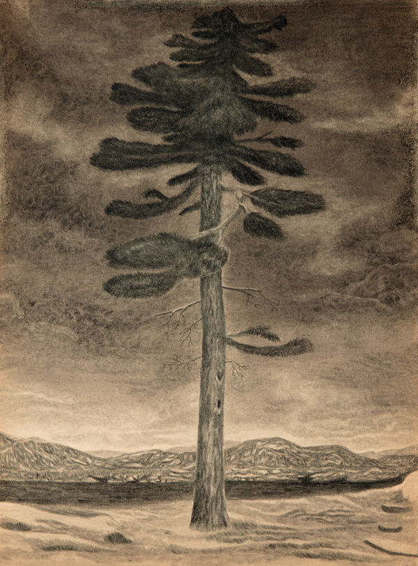 Jeff Olsson at London Art Fair