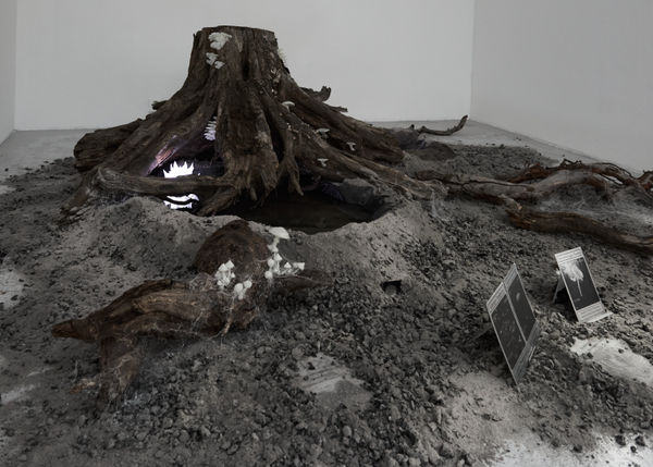 Fabienne Levy Lausanne05