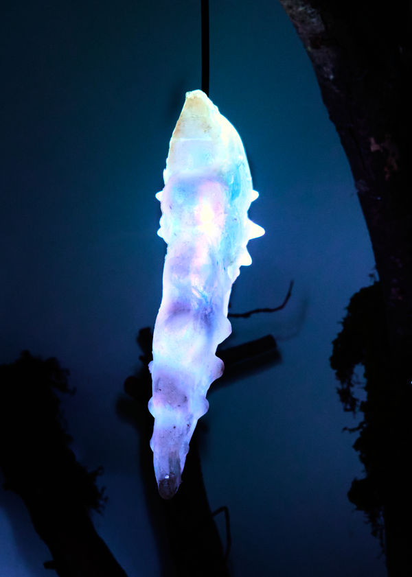 Fabienne Levy Lausanne10