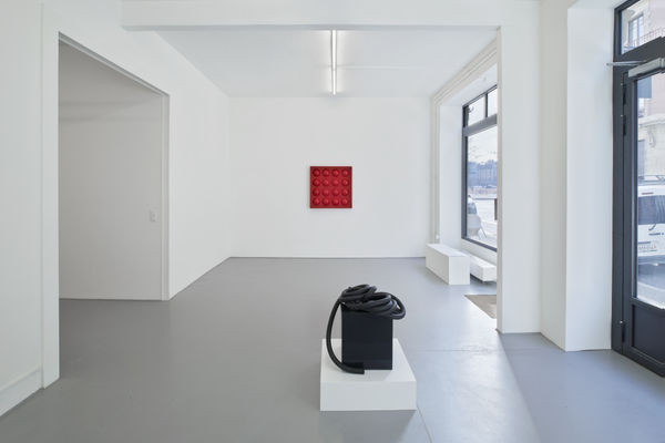 I feed my dreams slime at night Fabienne Levy Gallery Geneva 16th March 2023 to 6th May 2023 © Guillaume Python