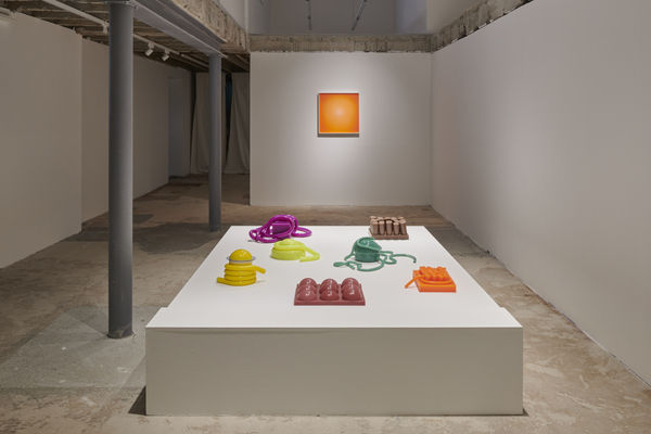 I feed my dreams slime at night Fabienne Levy Gallery Lausanne 23rd March 2023 to 13th May 2023 © Guillaume Python