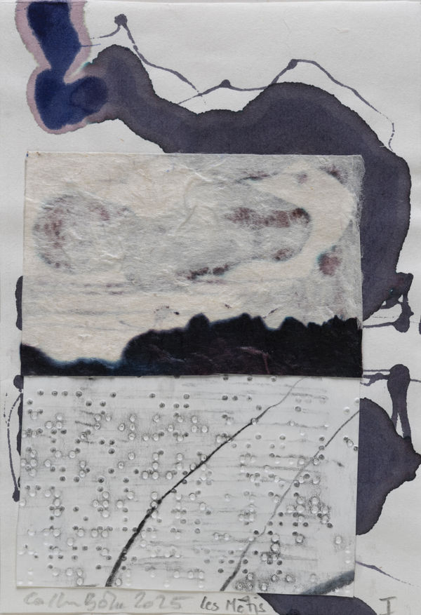 Catherine Bolle, Les Mètis, I, 2025, Ink, graphite, collage, chine paper, braille paper, 15,6 x 10,6 cm