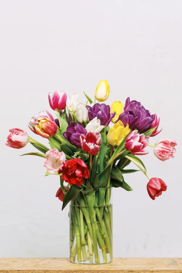 I wish I called you sooner January 18 to March 9 in Geneva / February 1 to March 14 in Lausanne