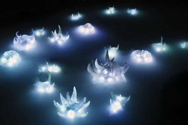 Lausanne – Là où rien ne devait pousser Elsa Wagnières – Prix HEAD x Galerie