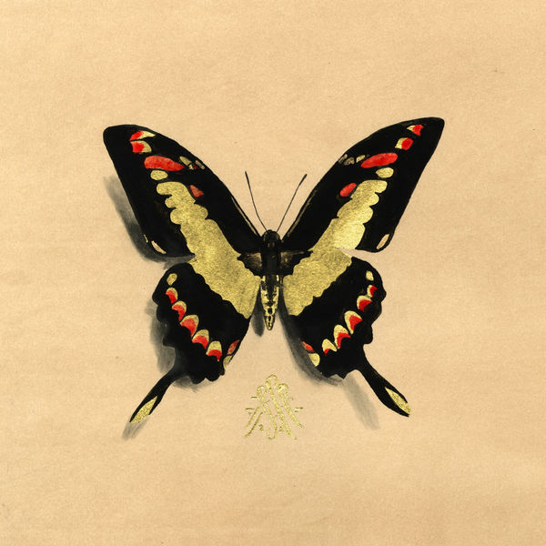 Alessandra Maria, Butterfly no. 95, 2022