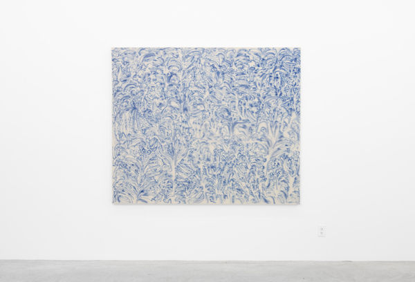 2025 03 04 Cas Friese Shoot 099 2