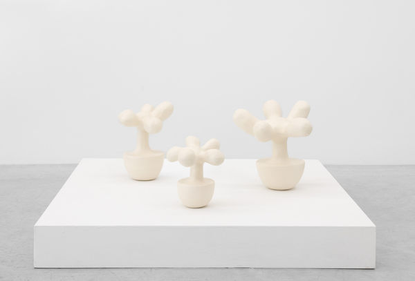 Plant Series Plant No 18 17 19 Left To Right Re Jin Lee