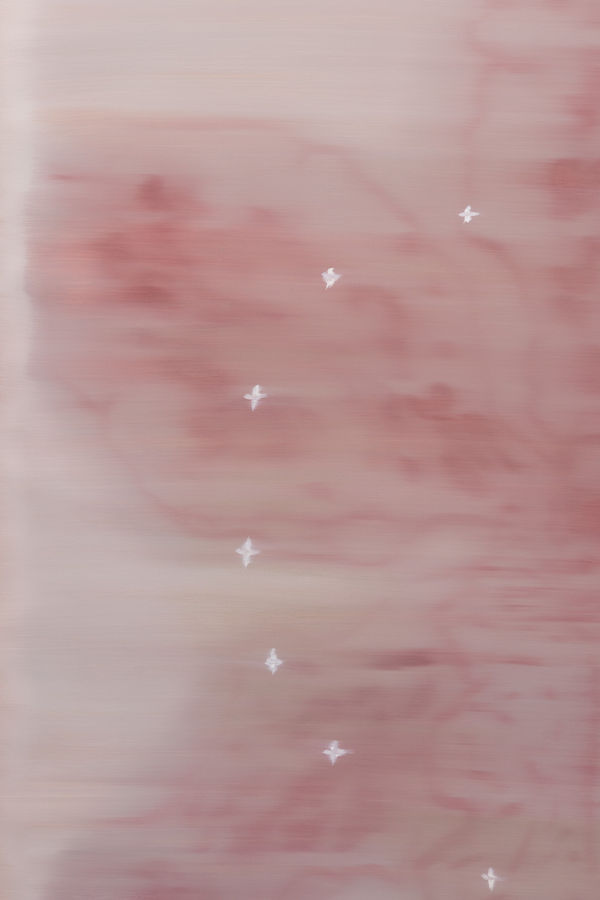 2025 06 03 Cas Friese Shoot 030