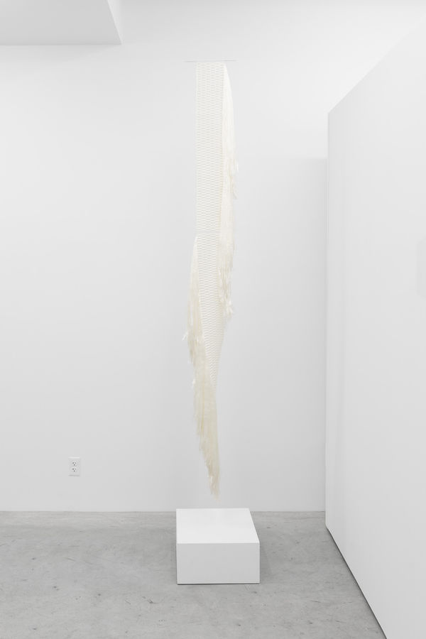 2025 07 15 Cas Friese Shoot 144