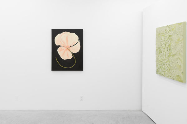 2025 07 15 Cas Friese Shoot 180