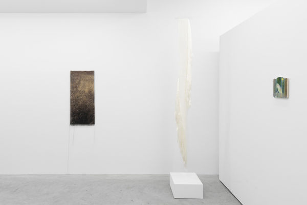 2025 07 15 Cas Friese Shoot 188