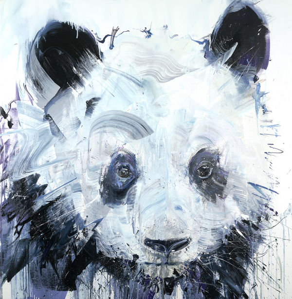 Dave White, Panda