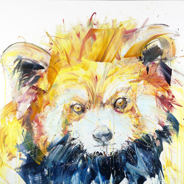 Dave White, Red Panda