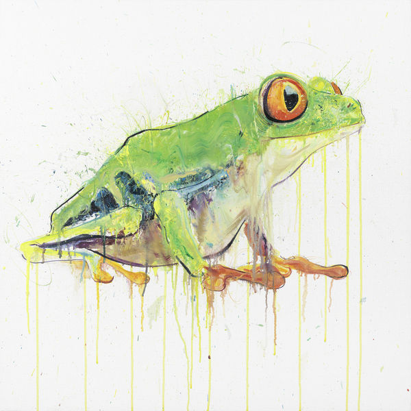 Dave White, Tree Frog