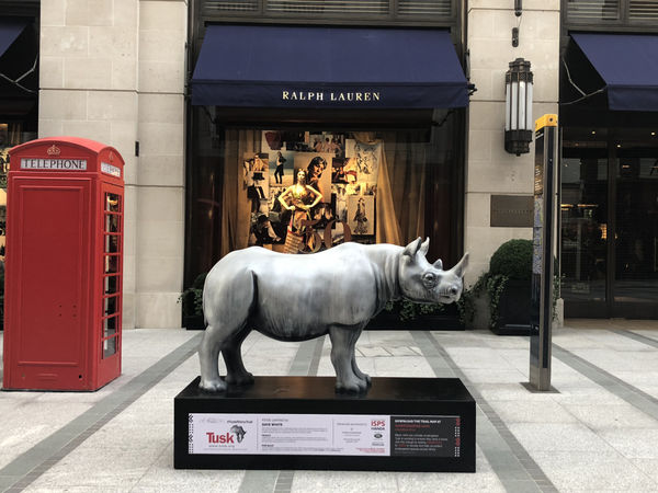 The Tusk Rhino Trail & Christie's Auction