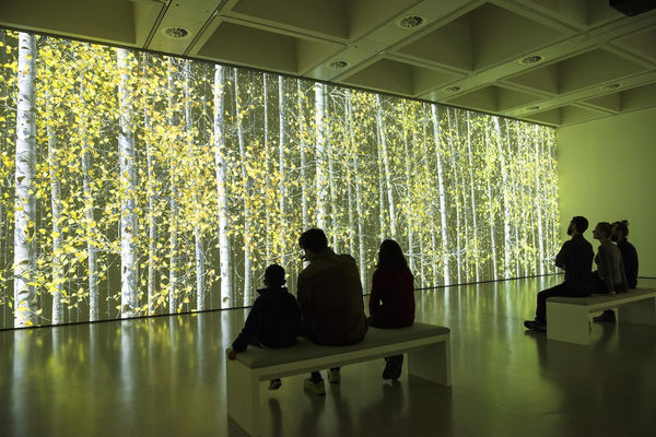 Jennifer Steinkamp, Blind Eye, 1, 2018, at Among the Trees, Hayward Gallery, 2020. © Jennifer Steinkamp 2020. Courtesy of Hayward Gallery. Photo: Linda Nylind