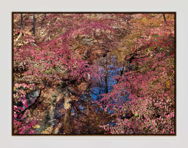 Connecticut Audubon20064 Michaelgaillard Walnutframe
