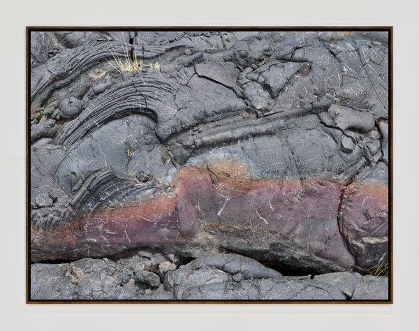 Haw 19944 Tight Pano Walnutframe