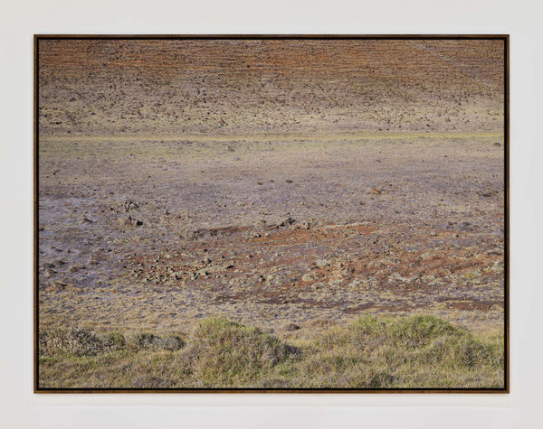 Hawaii 19615 Walnutframe