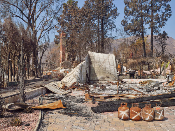 California After Palisades22573 Michaelgaillard