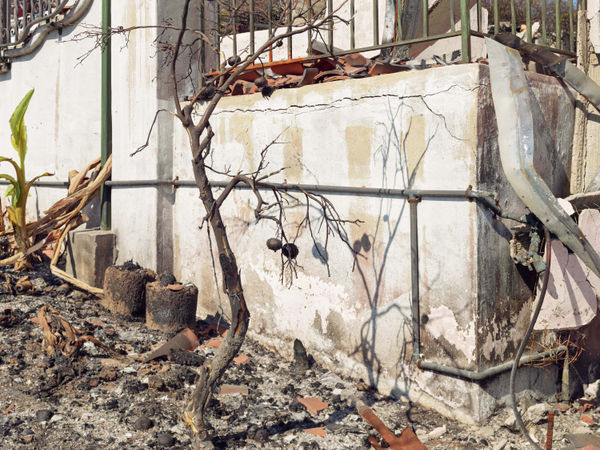 California After Palisades22644 Michaelgaillard