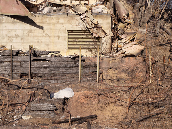 California After Palisades22914 Michaelgaillard