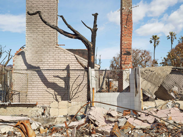 California After Palisades23188 Michaelgaillard